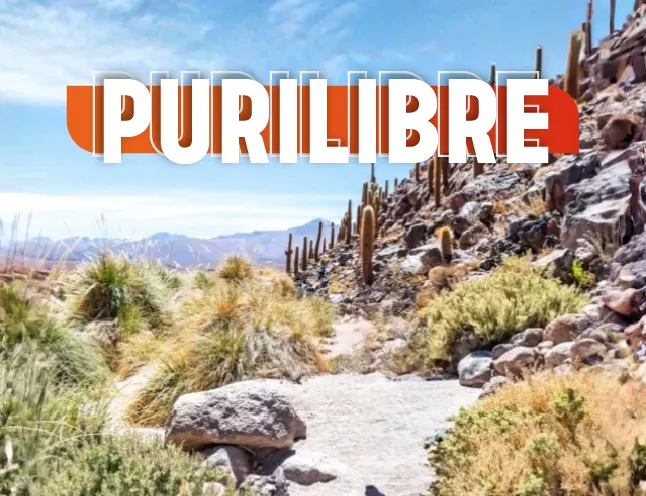 Trekking + Termas de Purilibre