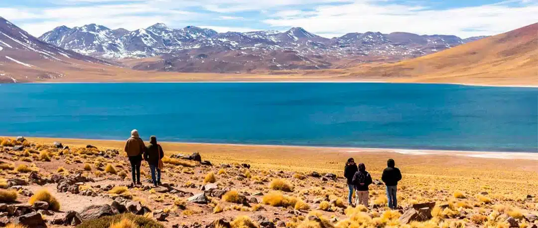 Tour Lagunas Altiplanicas y Piedras Rojas