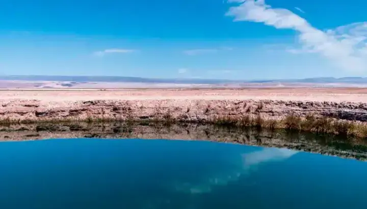 Tour a Laguna Cejar: Sumérgete en Aguas Salinas