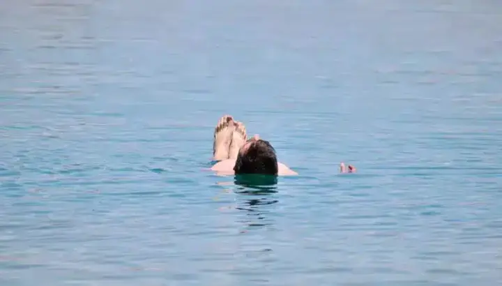 Tour a Laguna Cejar: Sumérgete en Aguas Salinas
