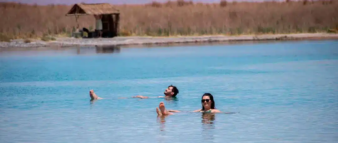 Tour a Laguna Cejar: Sumérgete en Aguas Salinas